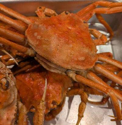 PXL_2021014_092541252 PXL_2021014_092541252